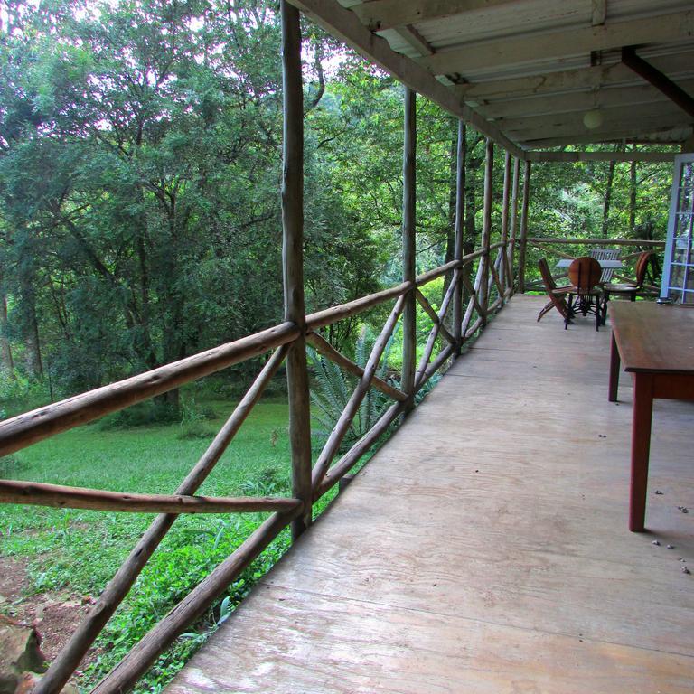 Old Pine Cabin Karkloof Yarrow Екстериор снимка