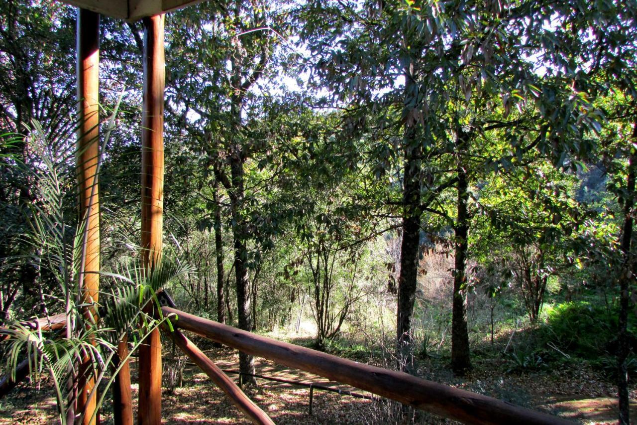 Old Pine Cabin Karkloof Yarrow Екстериор снимка